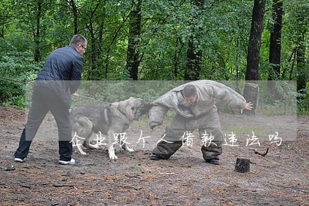 企业跟个人借款违法吗 企业跟个人借款违法吗