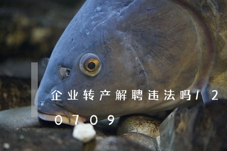 企业转产解聘违法吗/2023020420709 企业转产解聘违法吗/2023020420709