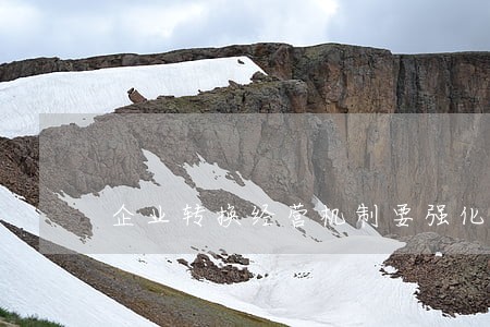 企业转换经营机制要强化法制建设 企业转换经营机制要强化法制建设