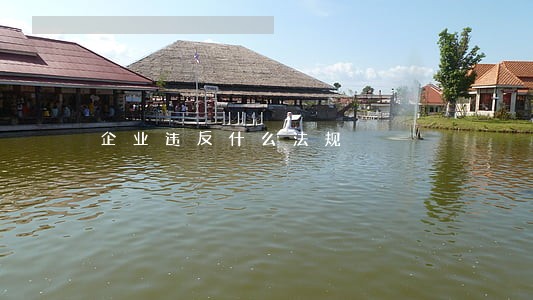 企业违反什么法规