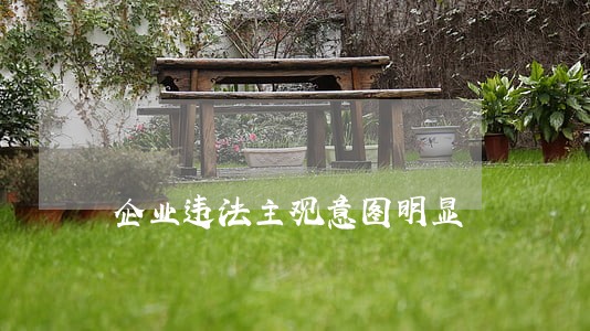 企业违法主观意图明显