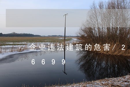 企业违法建筑的危害/2023020336699 企业违法建筑的危害/2023020336699