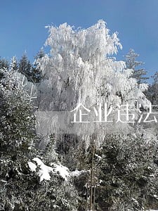企业违法排污被罚款 企业违法排污被罚款