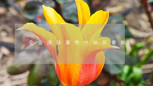 企业违法案件中如何查账 企业违法案件中如何查账