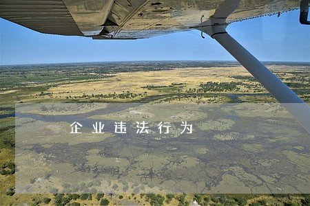企业违法行为 企业违法行为