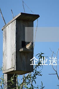 企业送给法律援助的锦旗 企业送给法律援助的锦旗