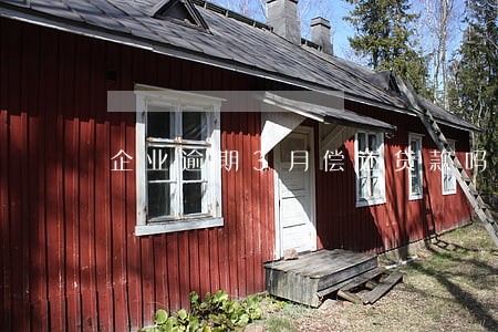 企业逾期3月偿还贷款吗 企业逾期3月偿还贷款吗