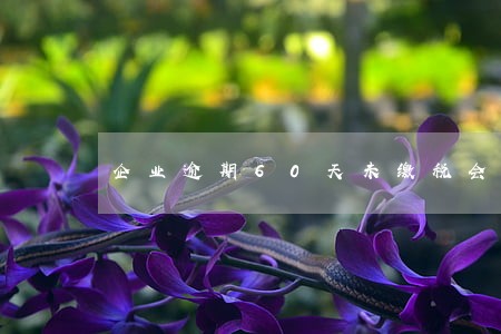 企业逾期60天未缴税会怎样 企业逾期60天未缴税会怎样