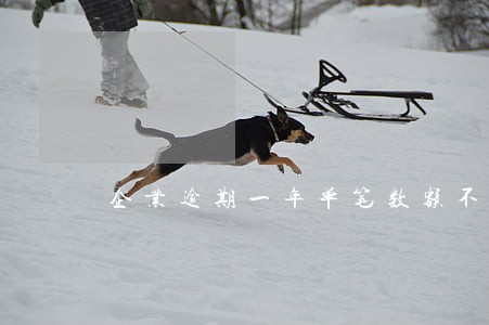 企业逾期一年单笔数额不超过5万