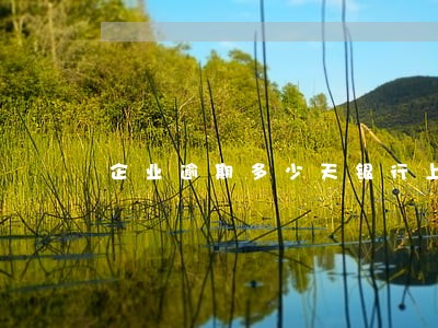 企业逾期多少天银行上征信 企业逾期多少天银行上征信