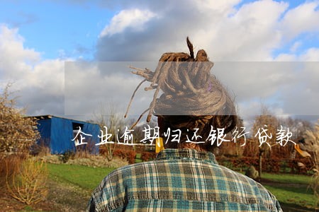 企业逾期归还银行贷款