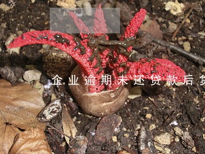 企业逾期未还贷款后货 企业逾期未还贷款后货