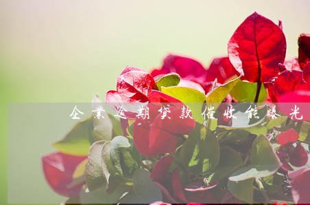 企业逾期贷款催收能曝光吗 企业逾期贷款催收能曝光吗