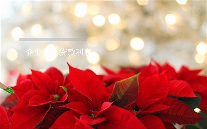 企业逾期贷款利息 企业逾期贷款利息