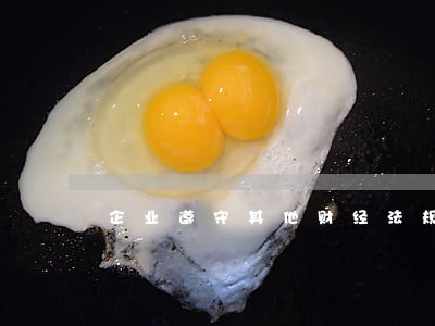 企业遵守其他财经法规 企业遵守其他财经法规
