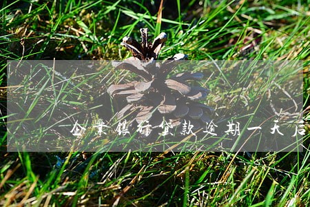 企业银行贷款逾期一天后果 企业银行贷款逾期一天后果