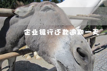 企业银行还款逾期一天 企业银行还款逾期一天
