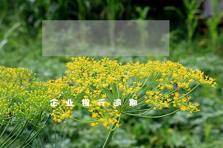 企业银行逾期 企业银行逾期
