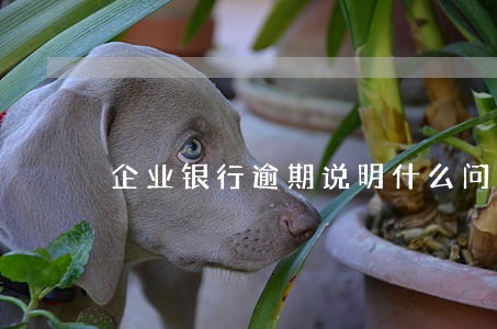企业银行逾期说明什么问题 企业银行逾期说明什么问题