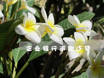 企业银行逾期还贷 企业银行逾期还贷