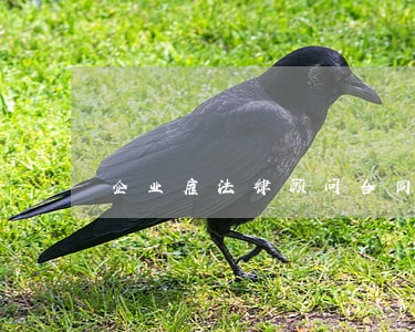 企业雇法律顾问合同审核程序