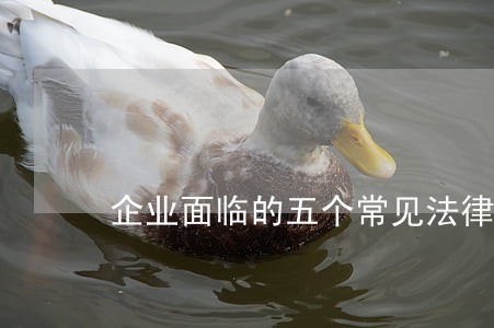 企业面临的五个常见法律问题 企业面临的五个常见法律问题