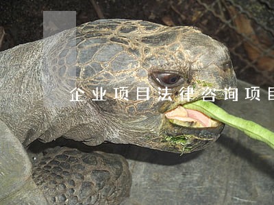 企业项目法律咨询项目 企业项目法律咨询项目