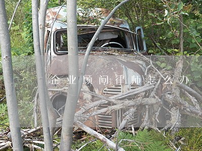企业顾问律师怎么办
