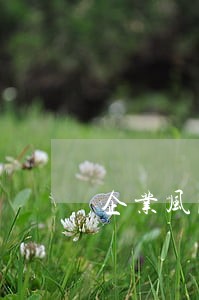 企业风险防控律师哪个好 企业风险防控律师哪个好