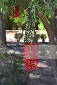 企石债务融资律师 企石债务融资律师