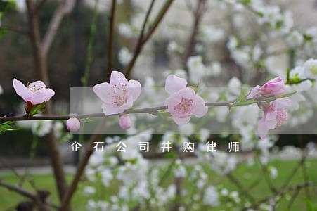企石公司并购律师 企石公司并购律师