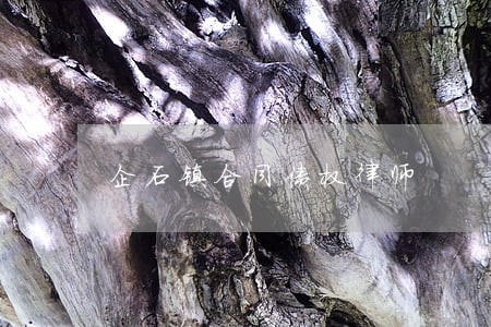 企石镇合同债权律师 企石镇合同债权律师