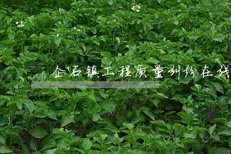 企石镇工程质量纠纷在线律师 企石镇工程质量纠纷在线律师