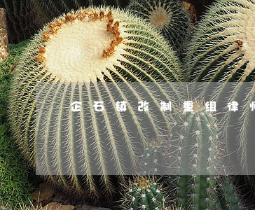 企石镇改制重组律师在线免费咨询 企石镇改制重组律师在线免费咨询