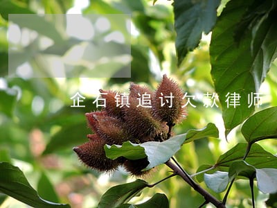 企石镇追讨欠款律师 企石镇追讨欠款律师