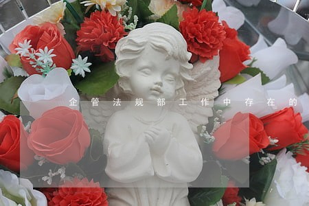 企管法规部工作中存在的问题 企管法规部工作中存在的问题