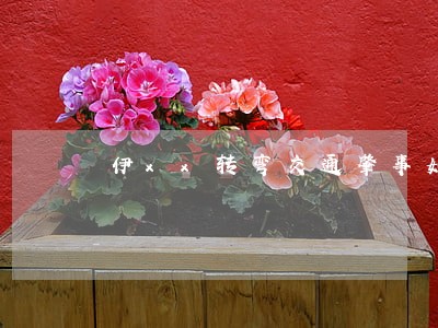 伊xx转弯交通肇事如何诉讼 伊xx转弯交通肇事如何诉讼