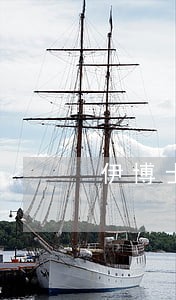 伊博士法律思维阐释8 伊博士法律思维阐释8