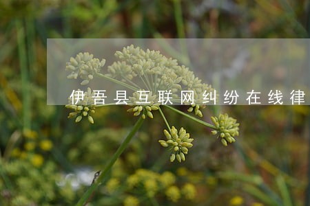 伊吾县互联网纠纷在线律师 伊吾县互联网纠纷在线律师