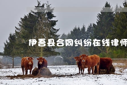 伊吾县合同纠纷在线律师
