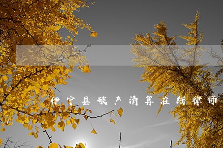 伊宁县破产清算在线律师 伊宁县破产清算在线律师