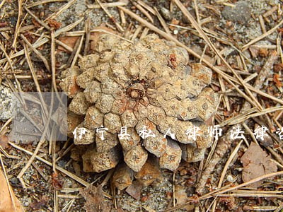 伊宁县私人律师法律咨询 伊宁县私人律师法律咨询