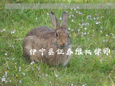 伊宁县证券维权律师 伊宁县证券维权律师