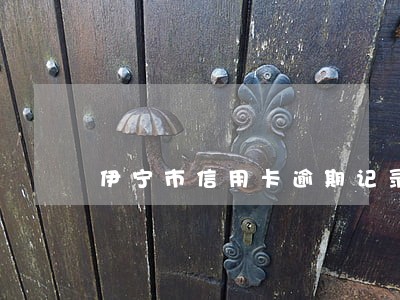 伊宁市信用卡逾期记录 伊宁市信用卡逾期记录