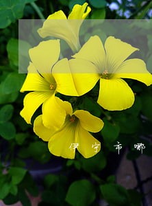 伊宁市哪个法院判离婚 伊宁市哪个法院判离婚