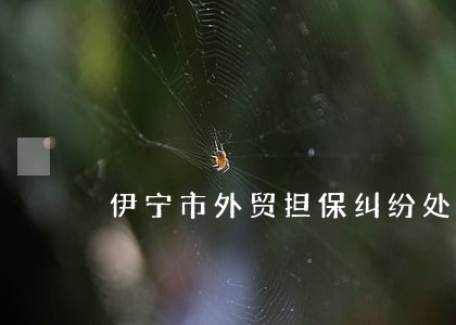 伊宁市外贸担保纠纷处理律师