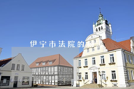 伊宁市法院的杨涛