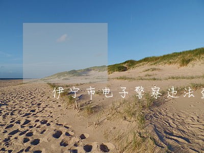 伊宁市电子警察违法查询 伊宁市电子警察违法查询