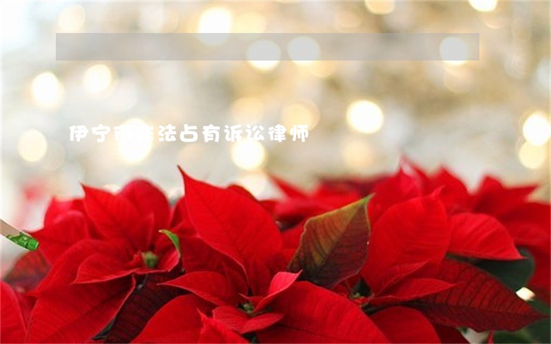 伊宁市非法占有诉讼律师 伊宁市非法占有诉讼律师