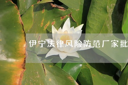 伊宁法律风险防范厂家批发价格 伊宁法律风险防范厂家批发价格